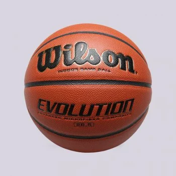 Мяч №6 Wilson (Evolution)