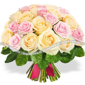 25 роз Гранд Флора(25 розово-кремовых роз)