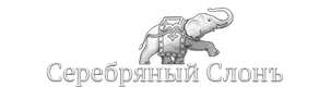 Сегодня каталог товаров Интернет-магазина Серебряный слон насчитывает более 3000 изделий из серебра 925 пробы.